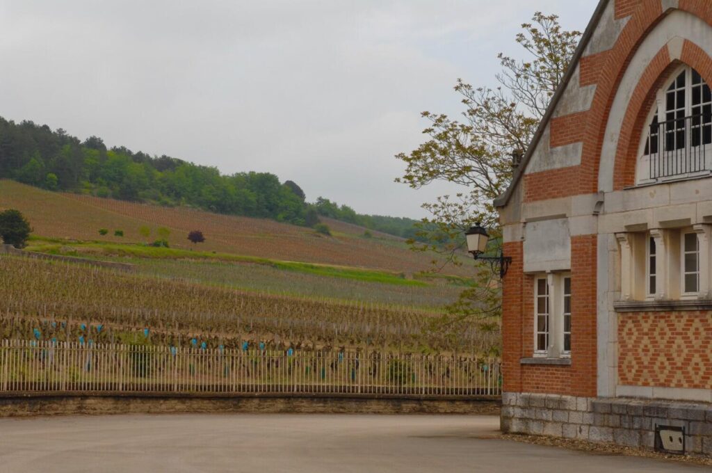 20160514_Burgundy_0085