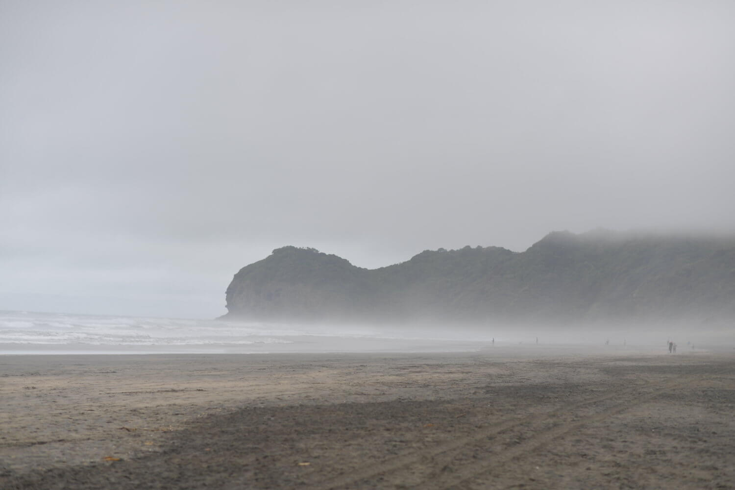 7 Great Insider Travel Tips for Auckland NZ