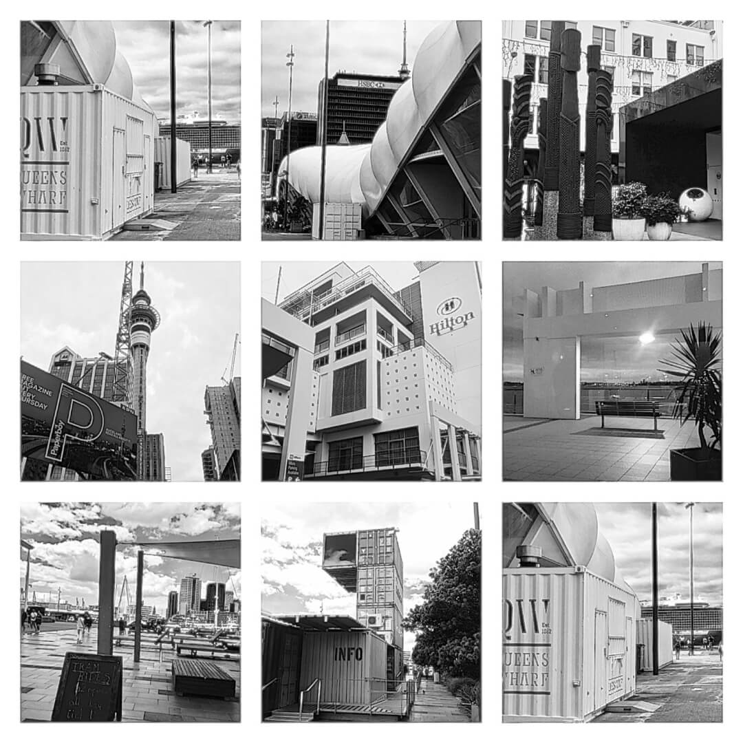 7 Great Insider Travel Tips for Auckland NZ