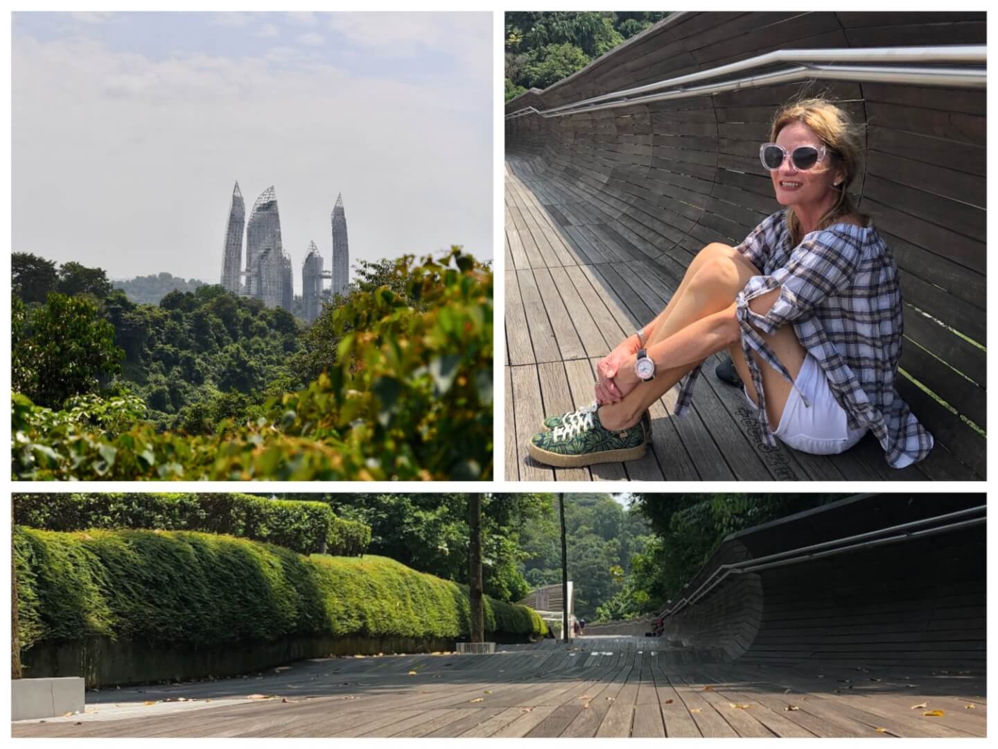 Singapore in a Nutshell - a Virtual Tour Singapore in a Nutshell - a Virtual Tour