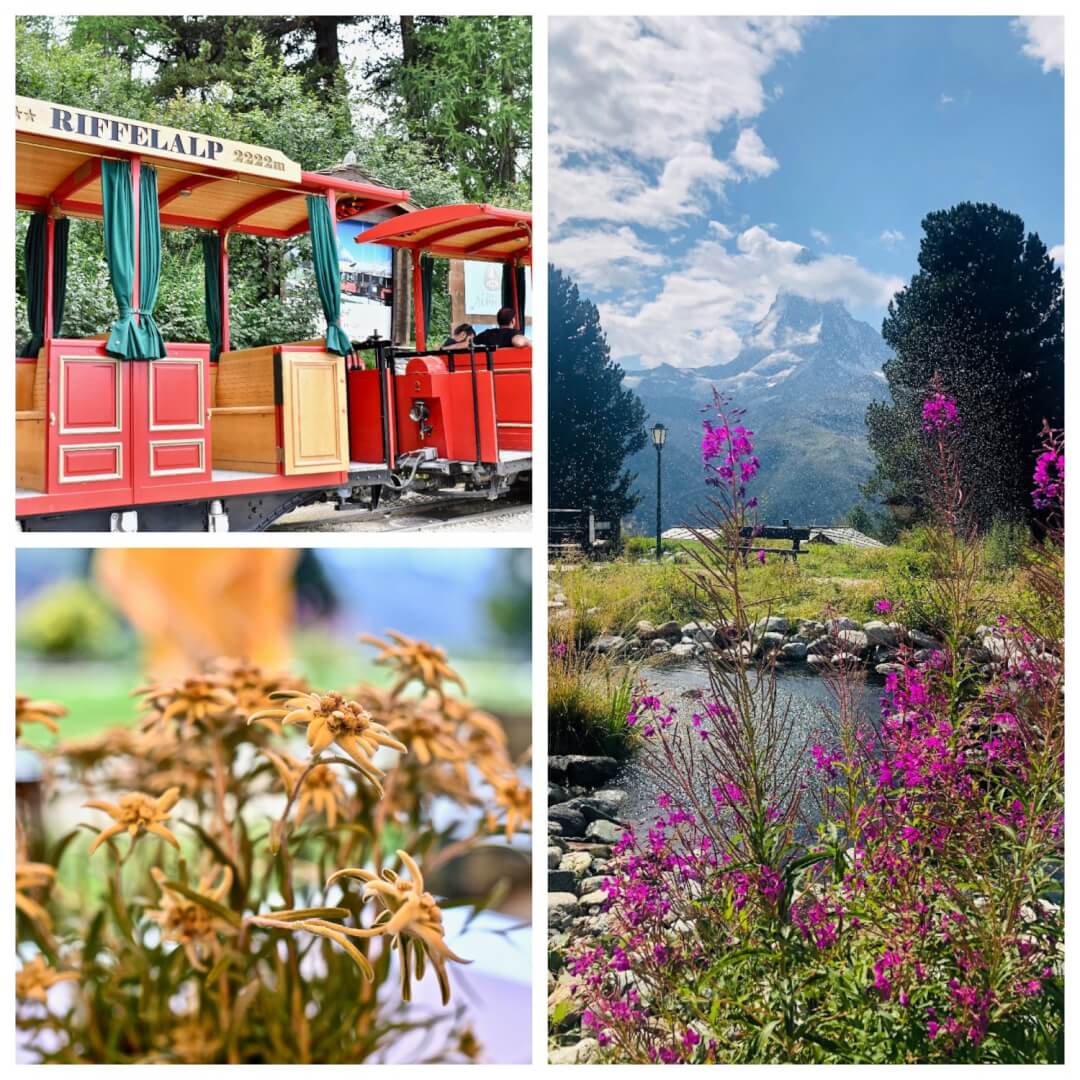 Amazing 2 Days Zermatt - Mont Cervin Palace Amazing 2 Days Zermatt - Mont Cervin Palace