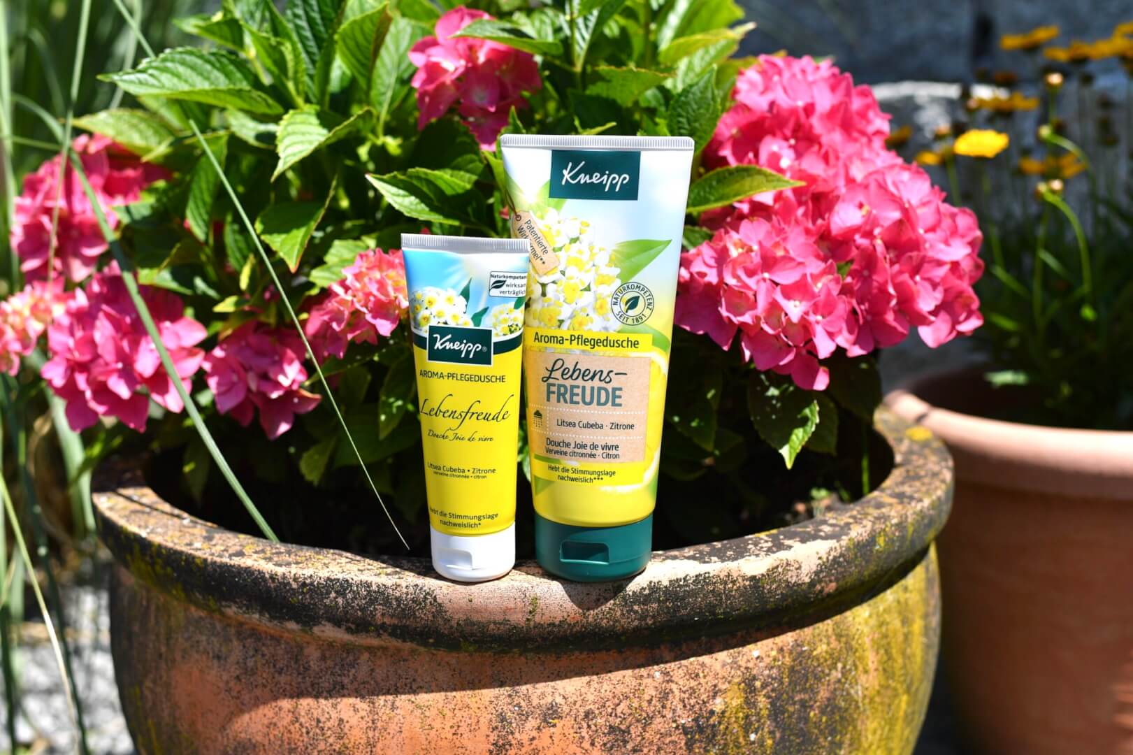 7 of the Simplest Tricks Ever to Be Happy and Lead a Happy Life 7 of the Simplest Tricks Ever to Be Happy and Lead a Happy Life