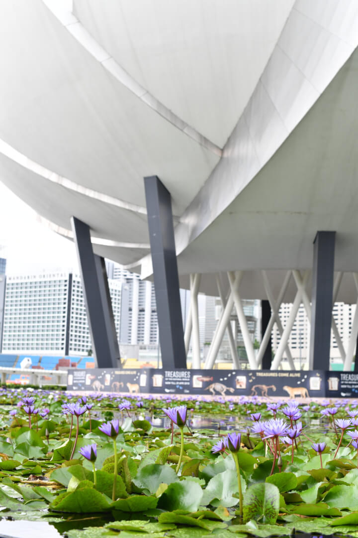 Singapore in a Nutshell - a Virtual Tour Singapore in a Nutshell - a Virtual Tour