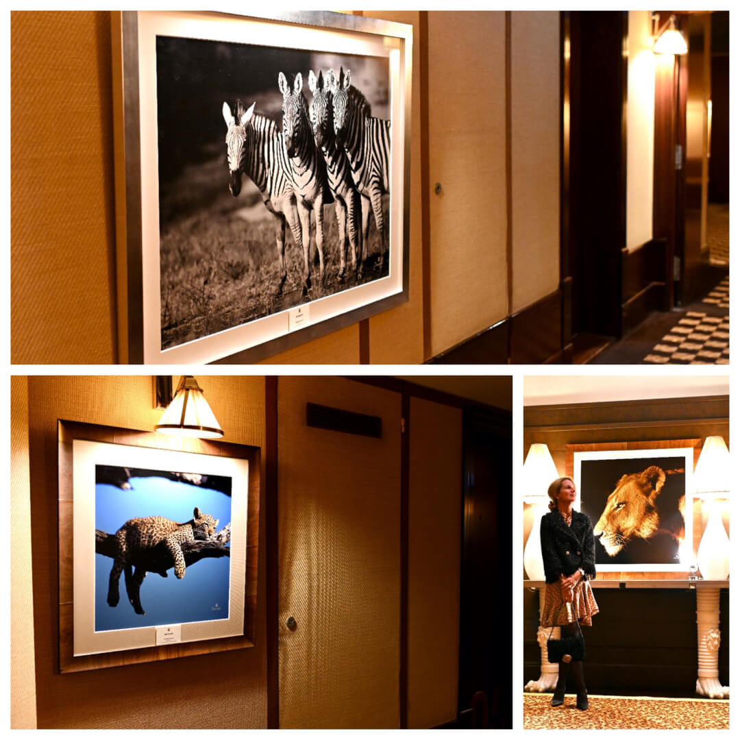 La Reserve - Magical African Hideaway Near Geneva La Reserve - Magical African Hideaway Near Geneva