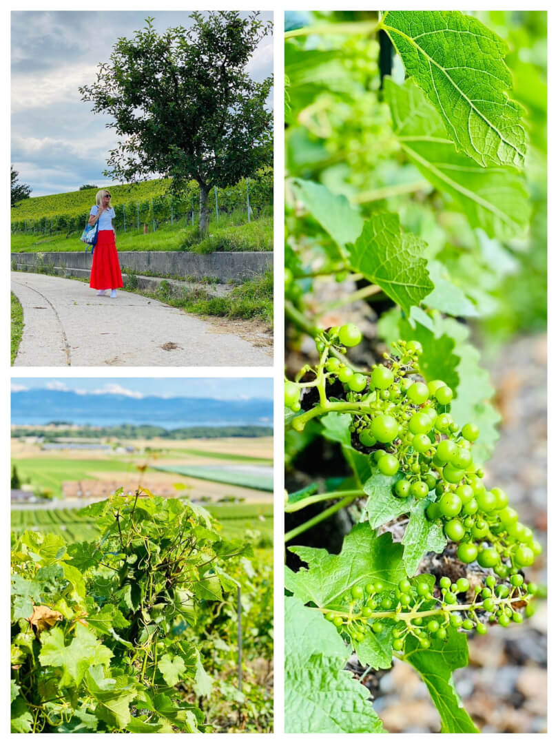 A secret Swiss Treasure - Prangins, Wakker Prize Winner 2021 & Nyon Region A secret Swiss Treasure - Prangins, Wakker Prize Winner 2021 & Nyon Region