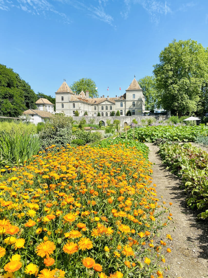 A secret Swiss Treasure - Prangins, Wakker Prize Winner 2021 & Nyon Region A secret Swiss Treasure - Prangins, Wakker Prize Winner 2021 & Nyon Region