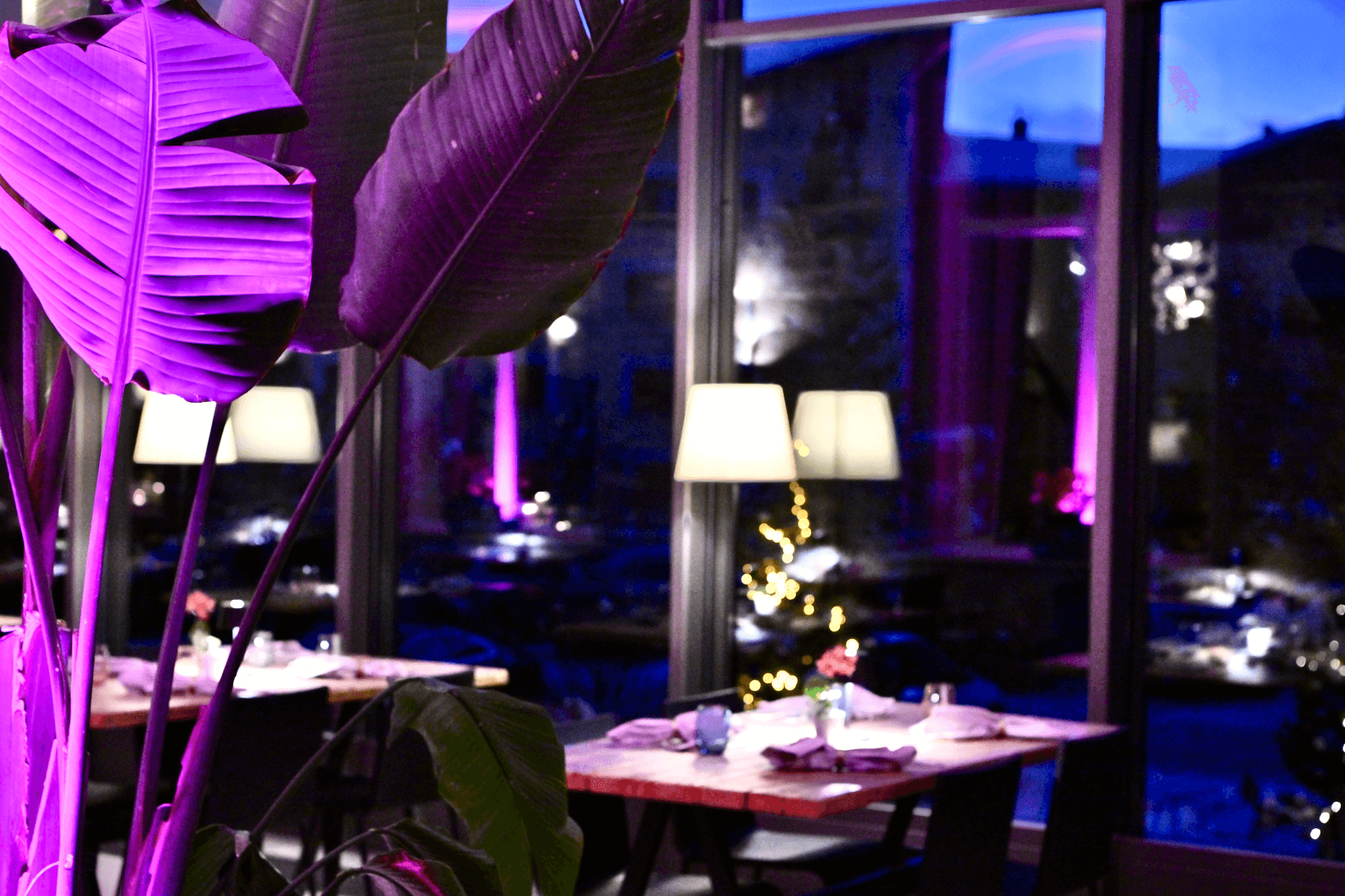 10 Best Photo Impressions of Cresta Palace Hotel