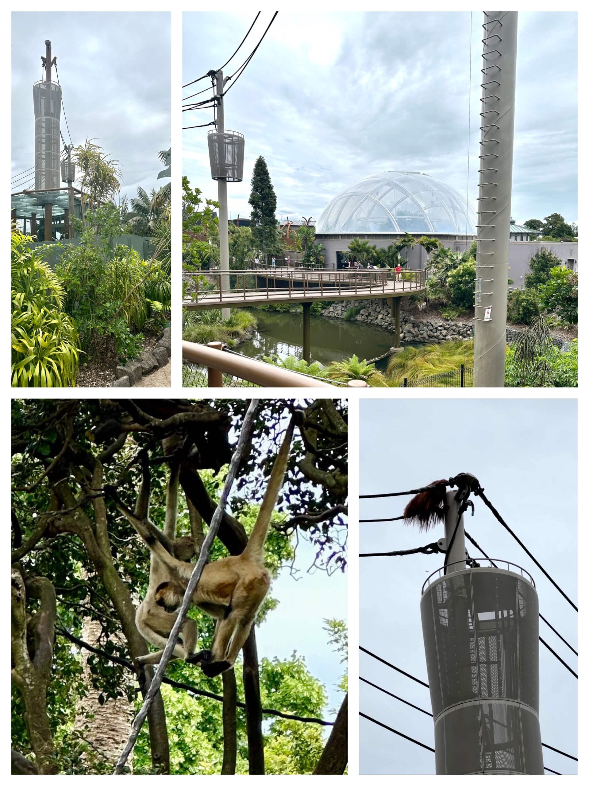 My 7 Favourite Things to do whilst in Auckland, New Zealand