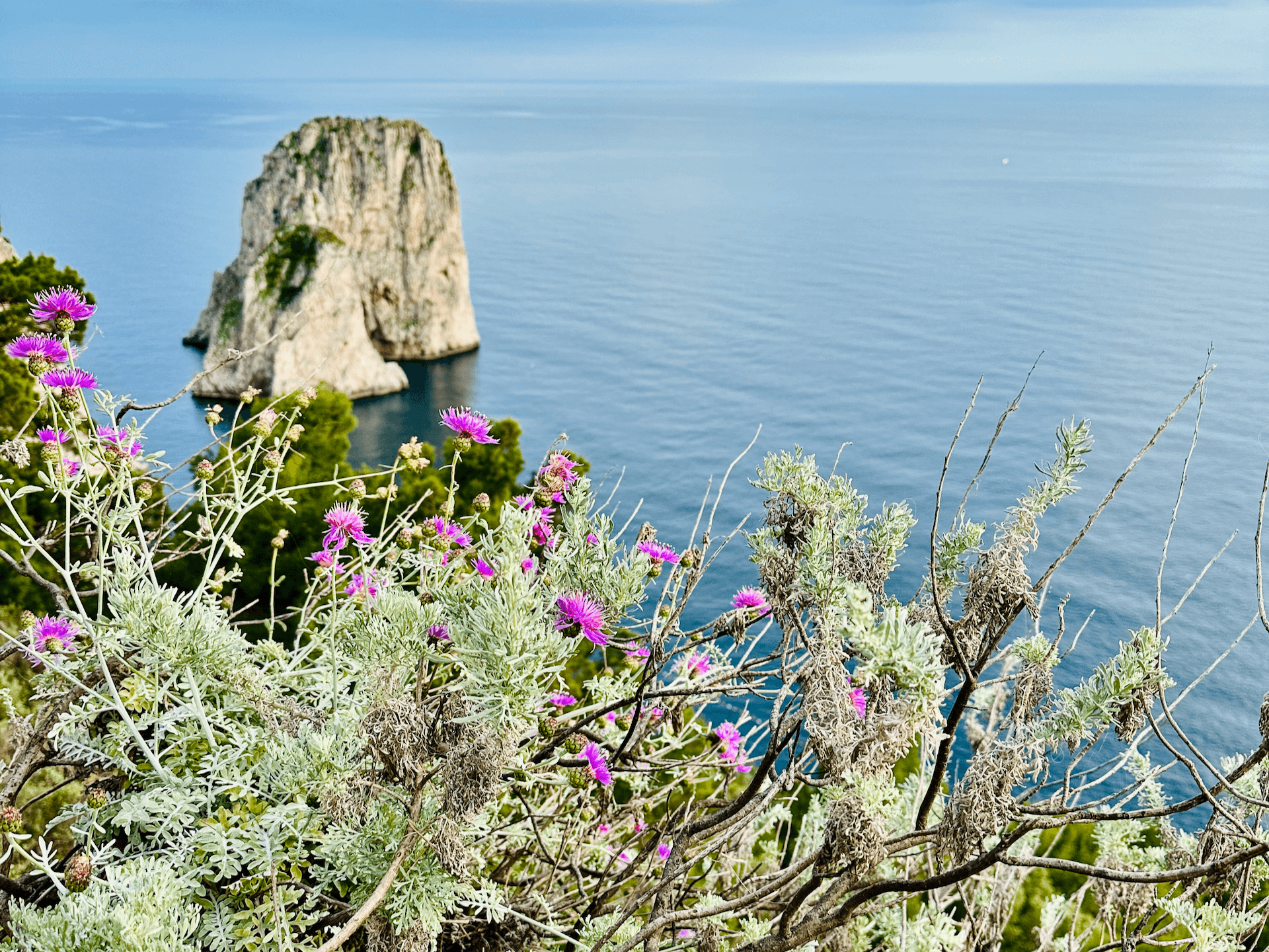 10 Top Tips for Capri