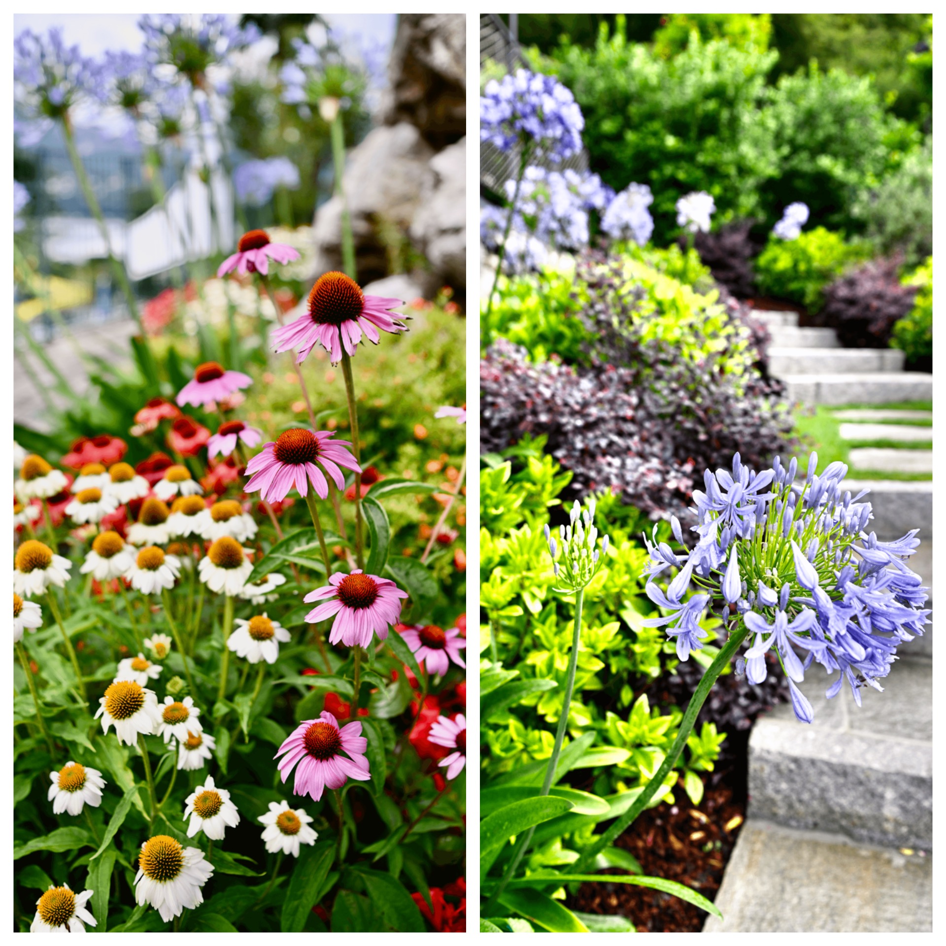 Aria Retreat & Spa - Dolce Vita Along Lake Lugano