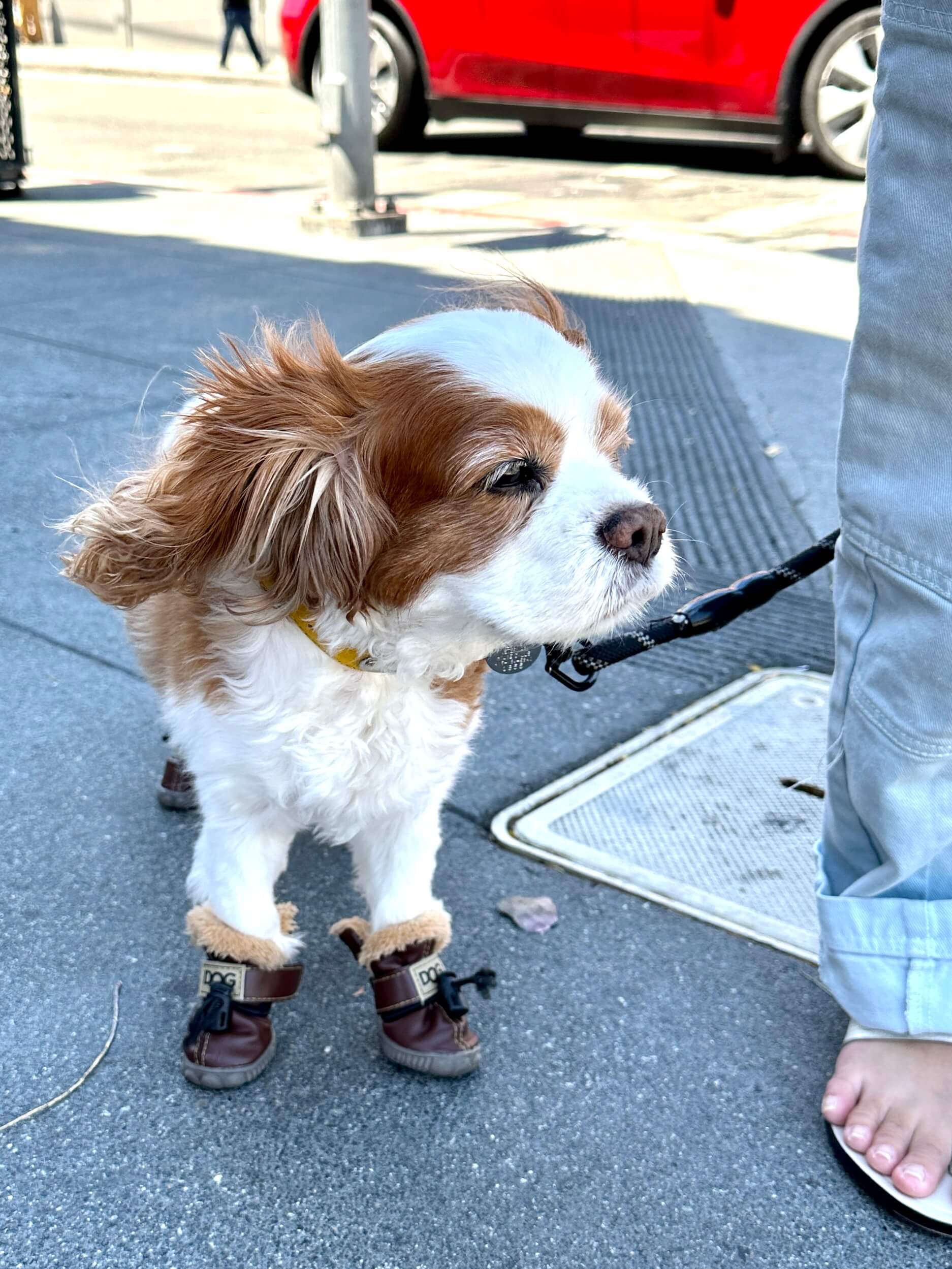 Top 10 Tips for San Francisco