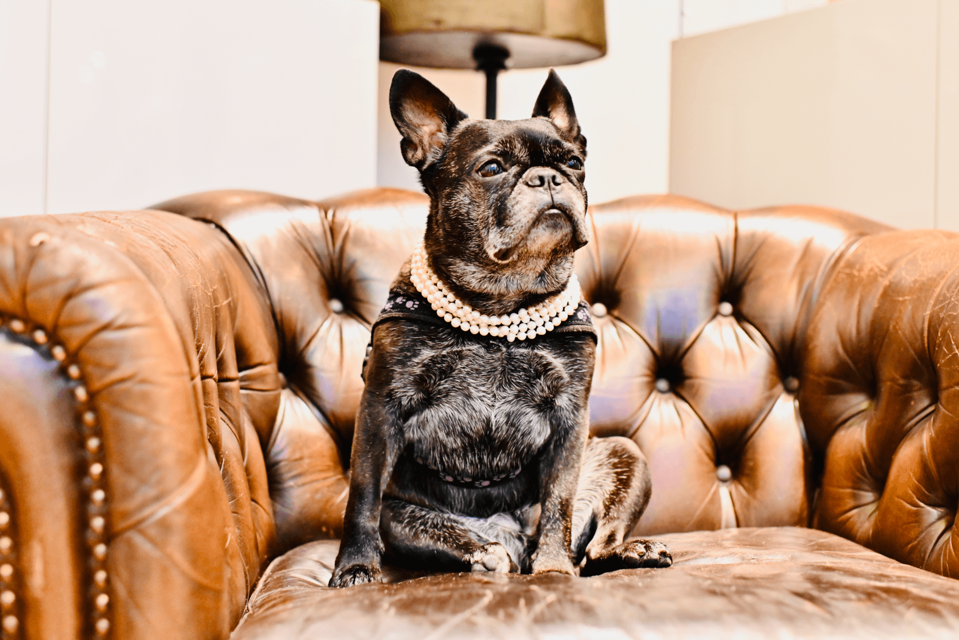 The 6 Best Jewellery Trends for Your Fall 2023 Wardrobe