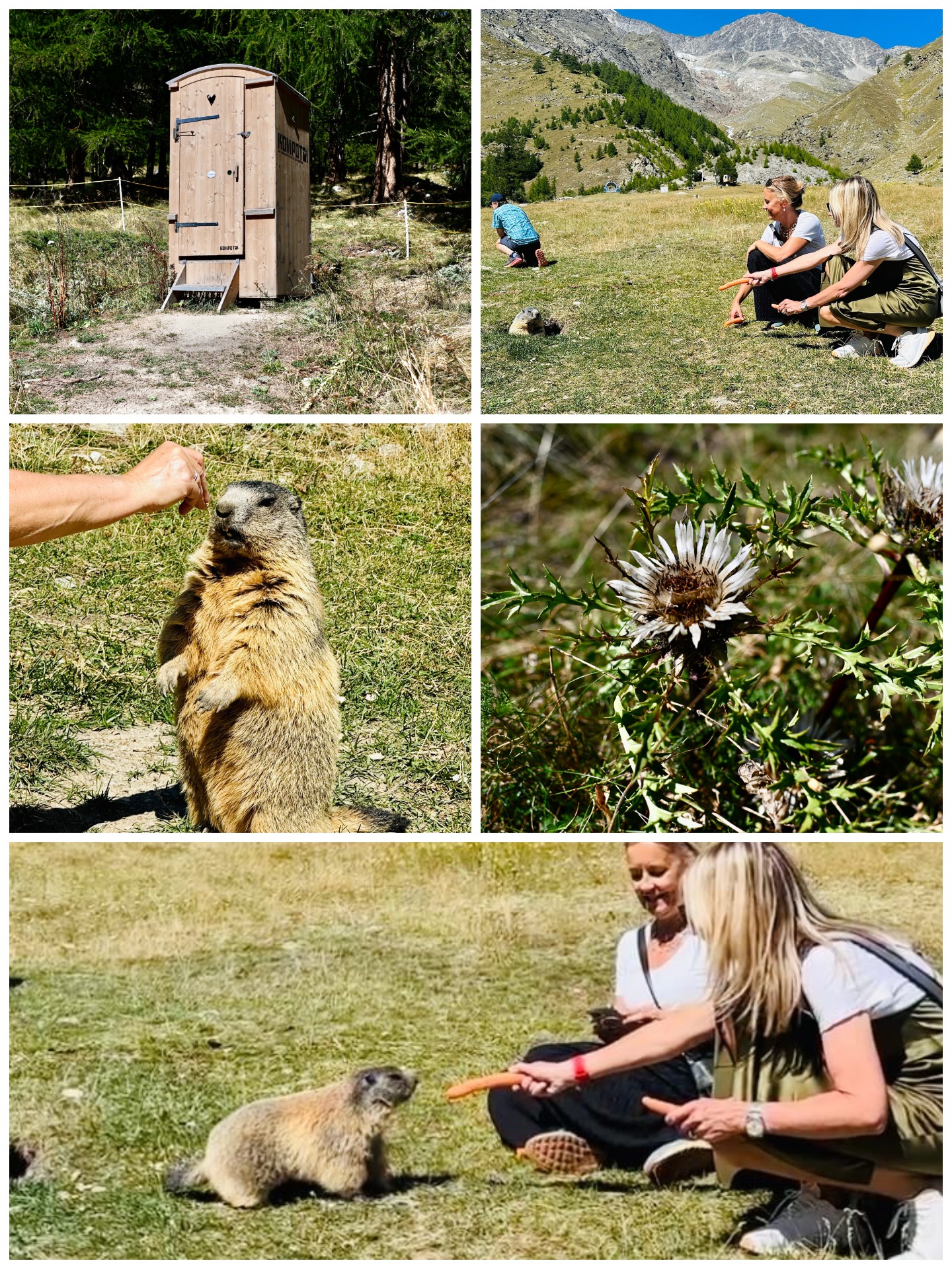 Adventure, Great Food & Luxury Along This Swiss Route du Bonheur!