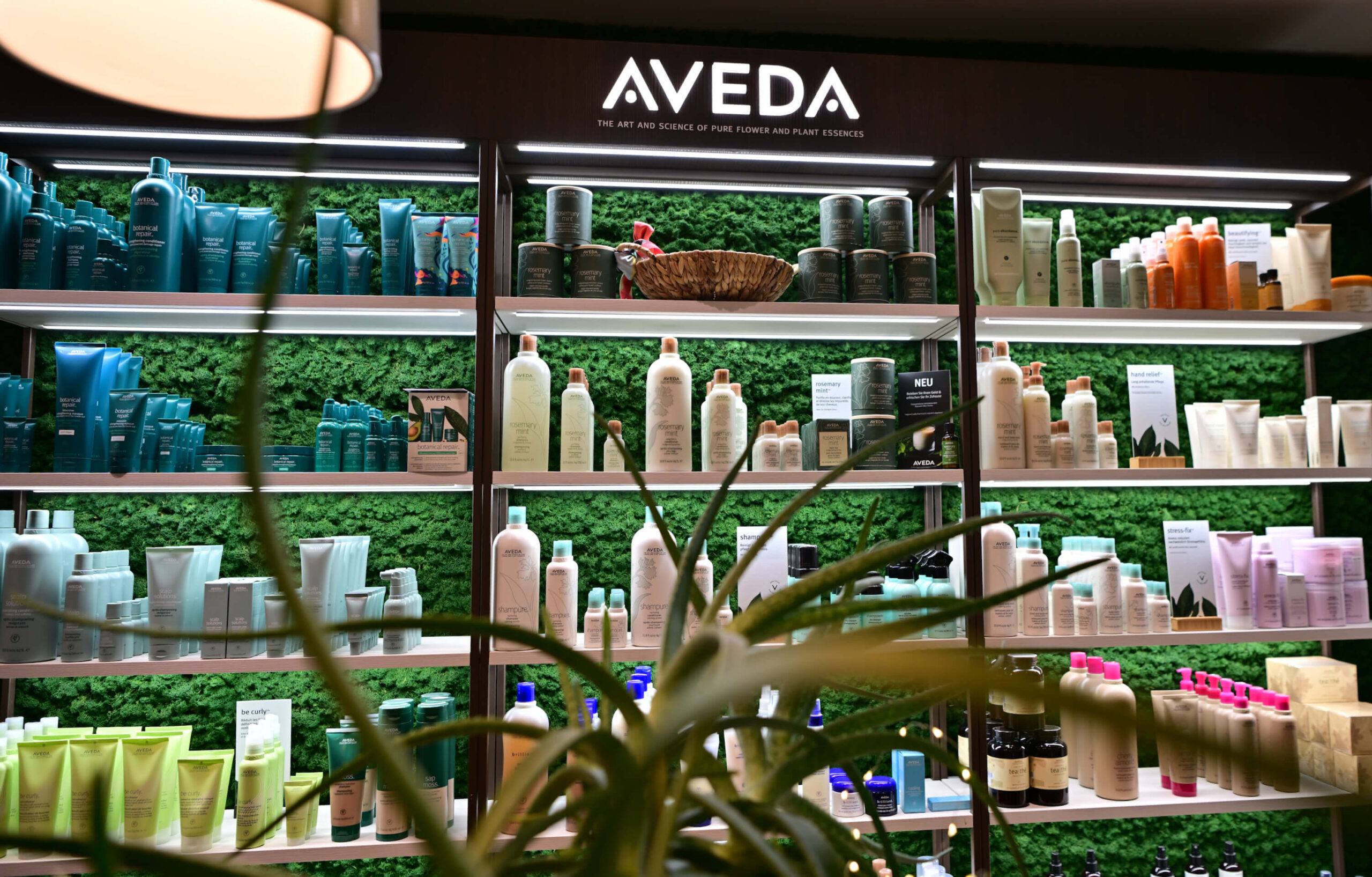 The Best AVEDA Botanical Repair Treatment in Zurich