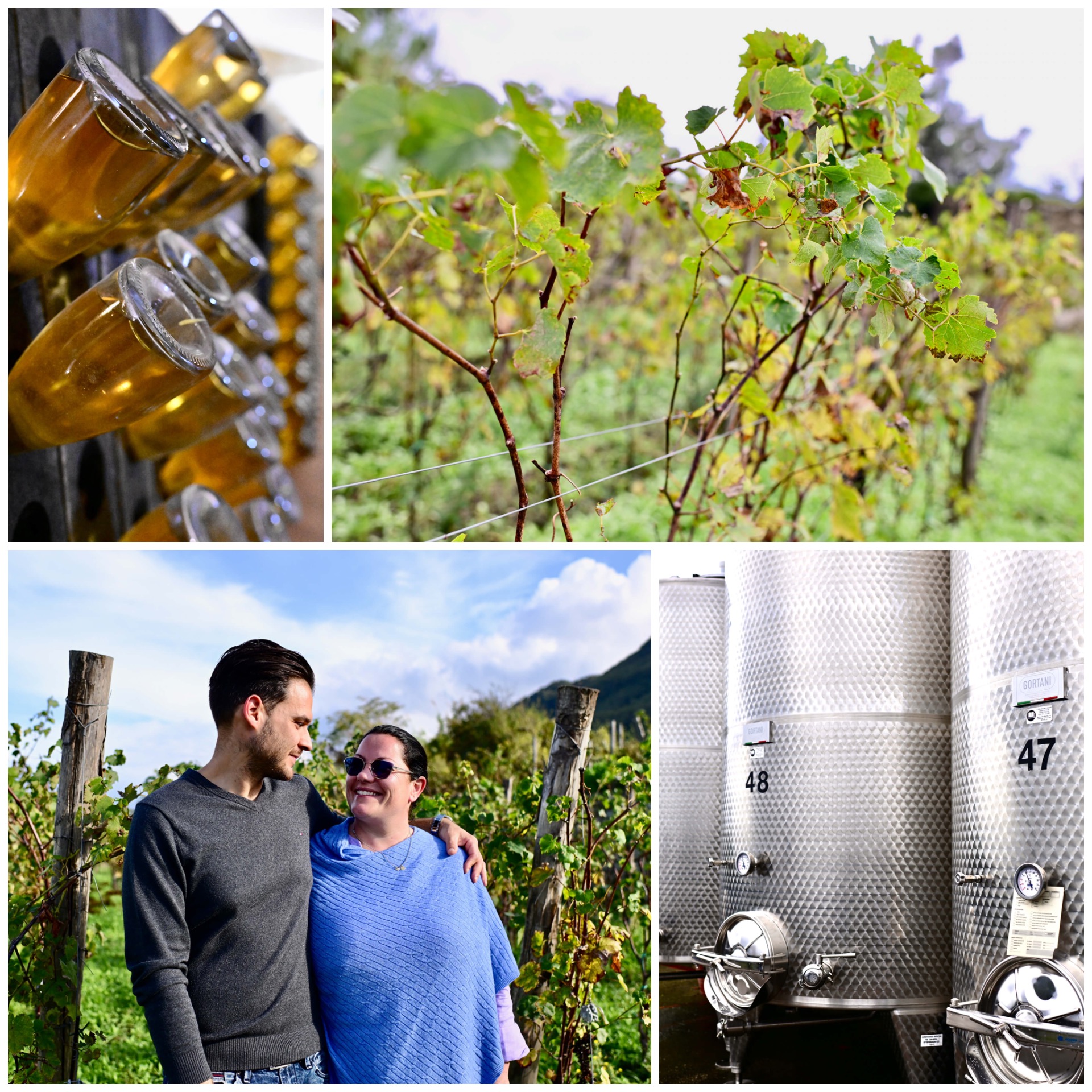 Ischia - The Insider Travel Guide
Tommasone Vineyard