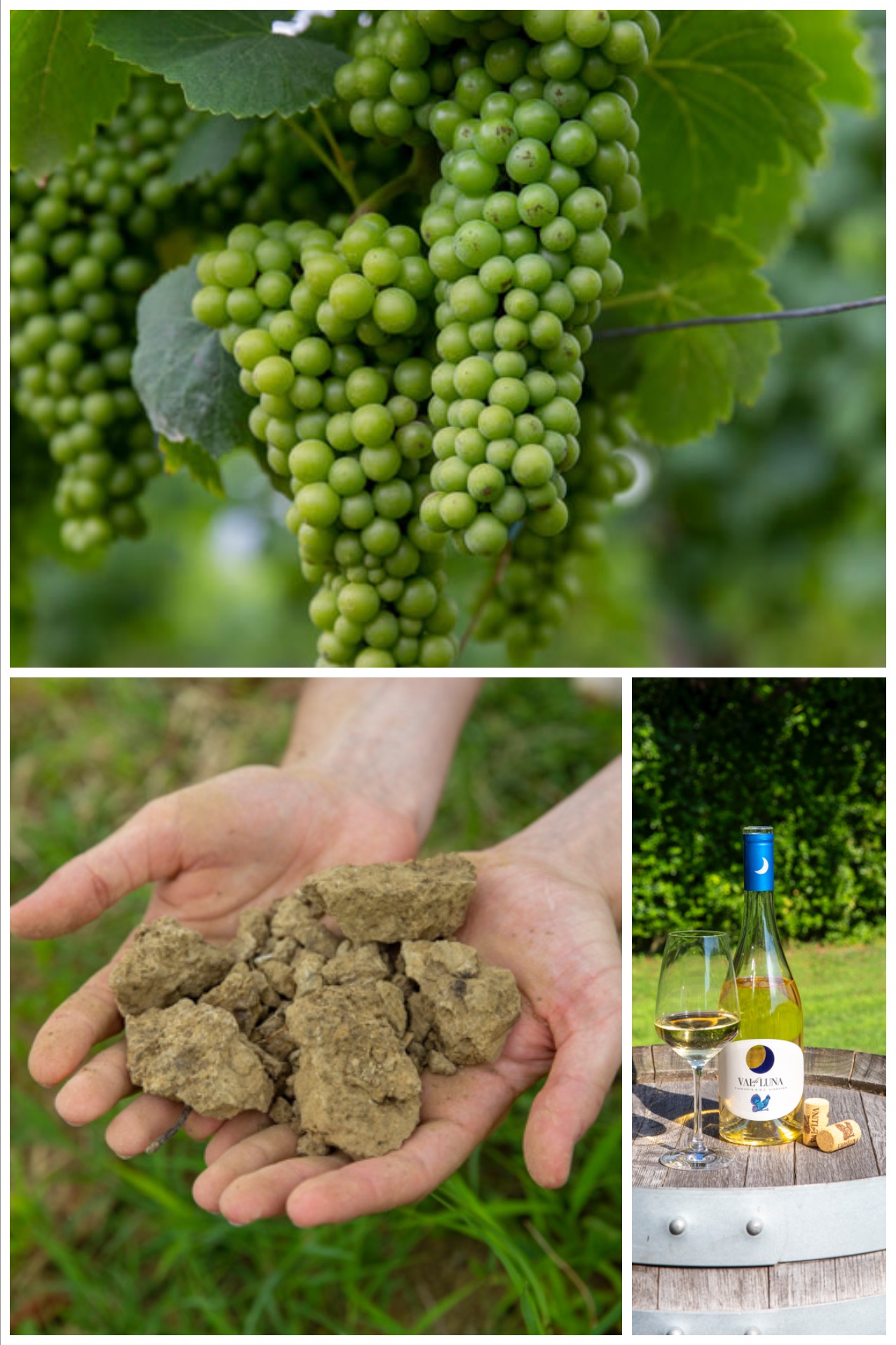 Val di Luna Piedmont wine