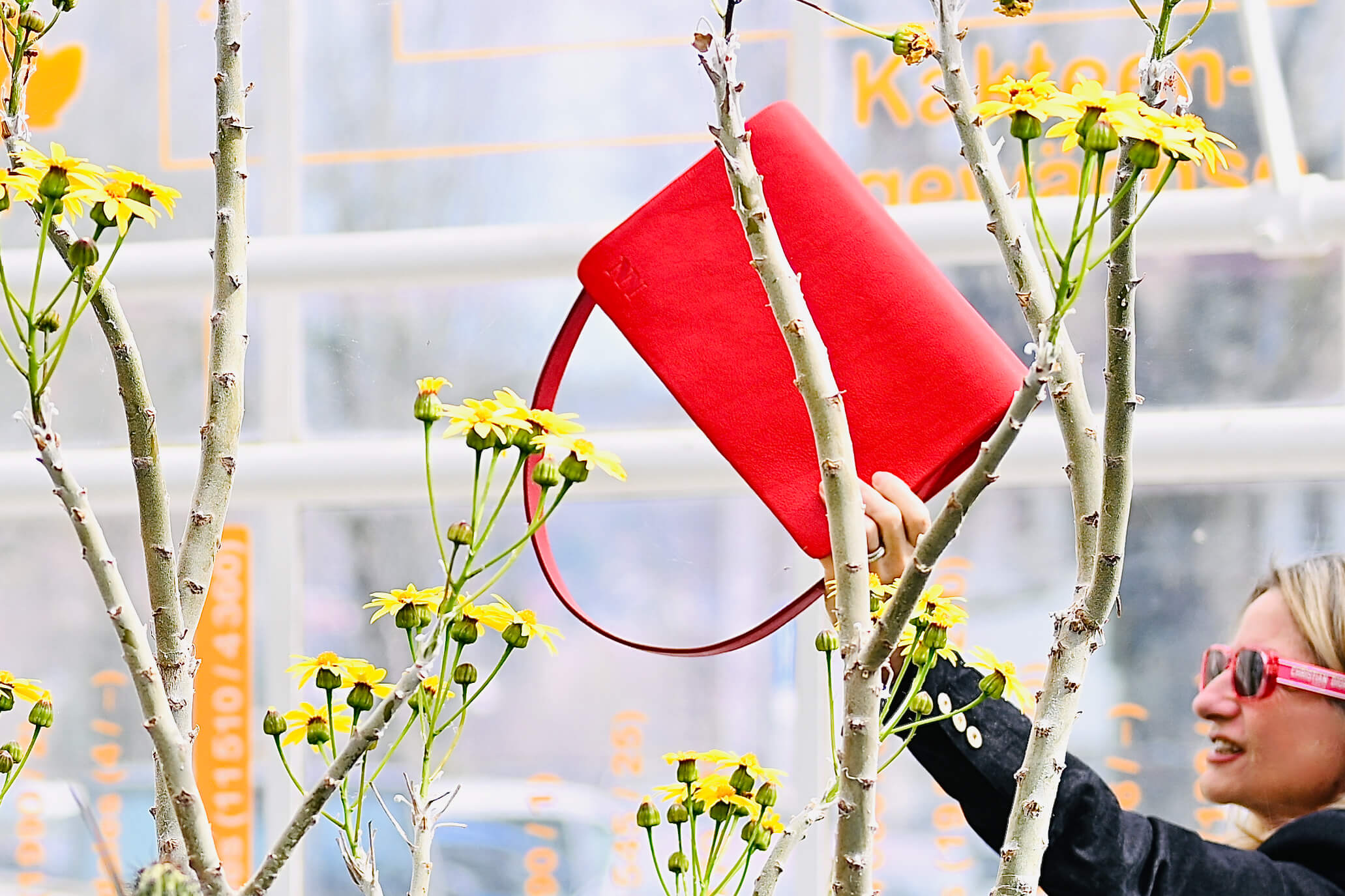 Why The Red Bag Will Never Date