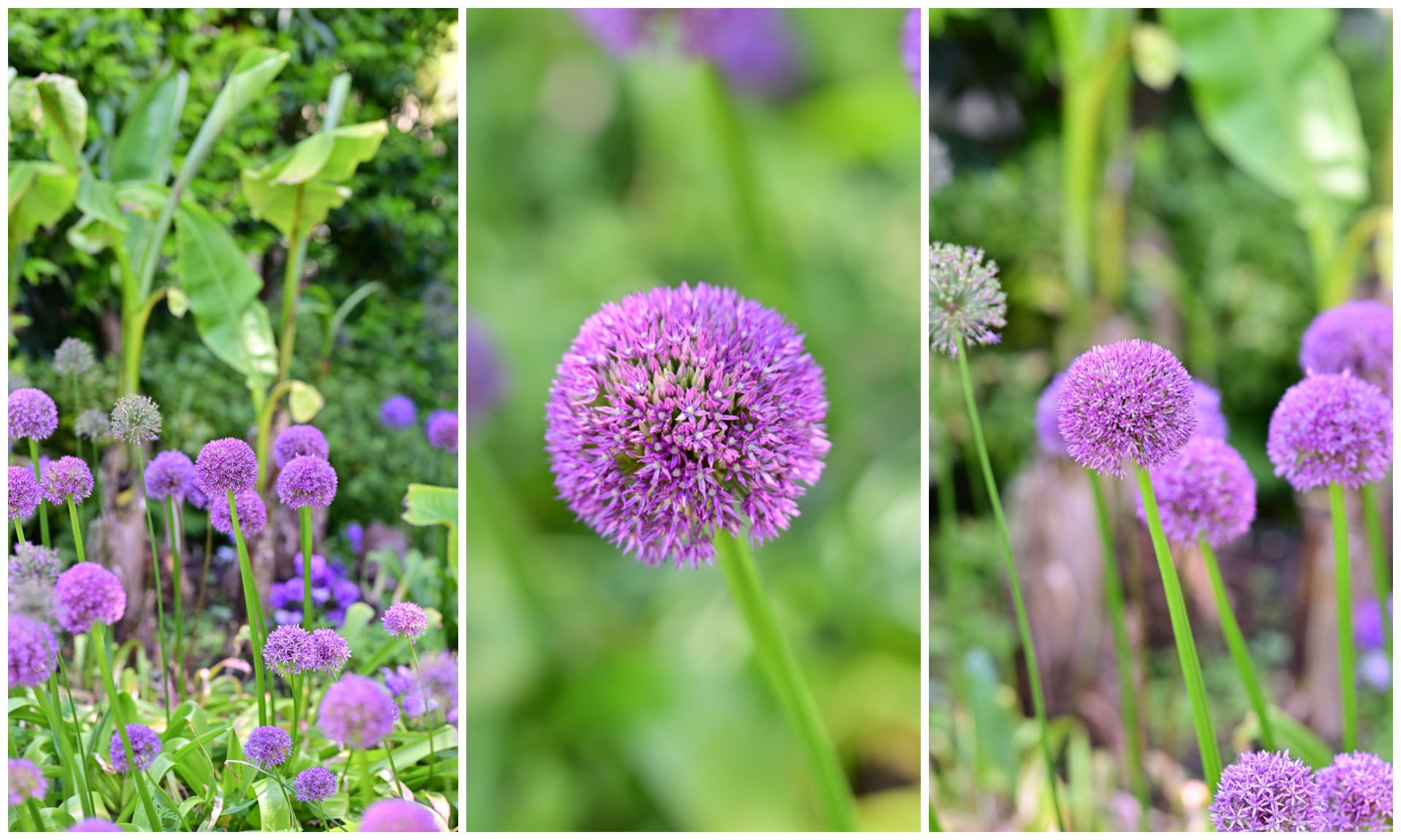 Hotel Mignon Meran Park & Spa - a Fairytale of Generations