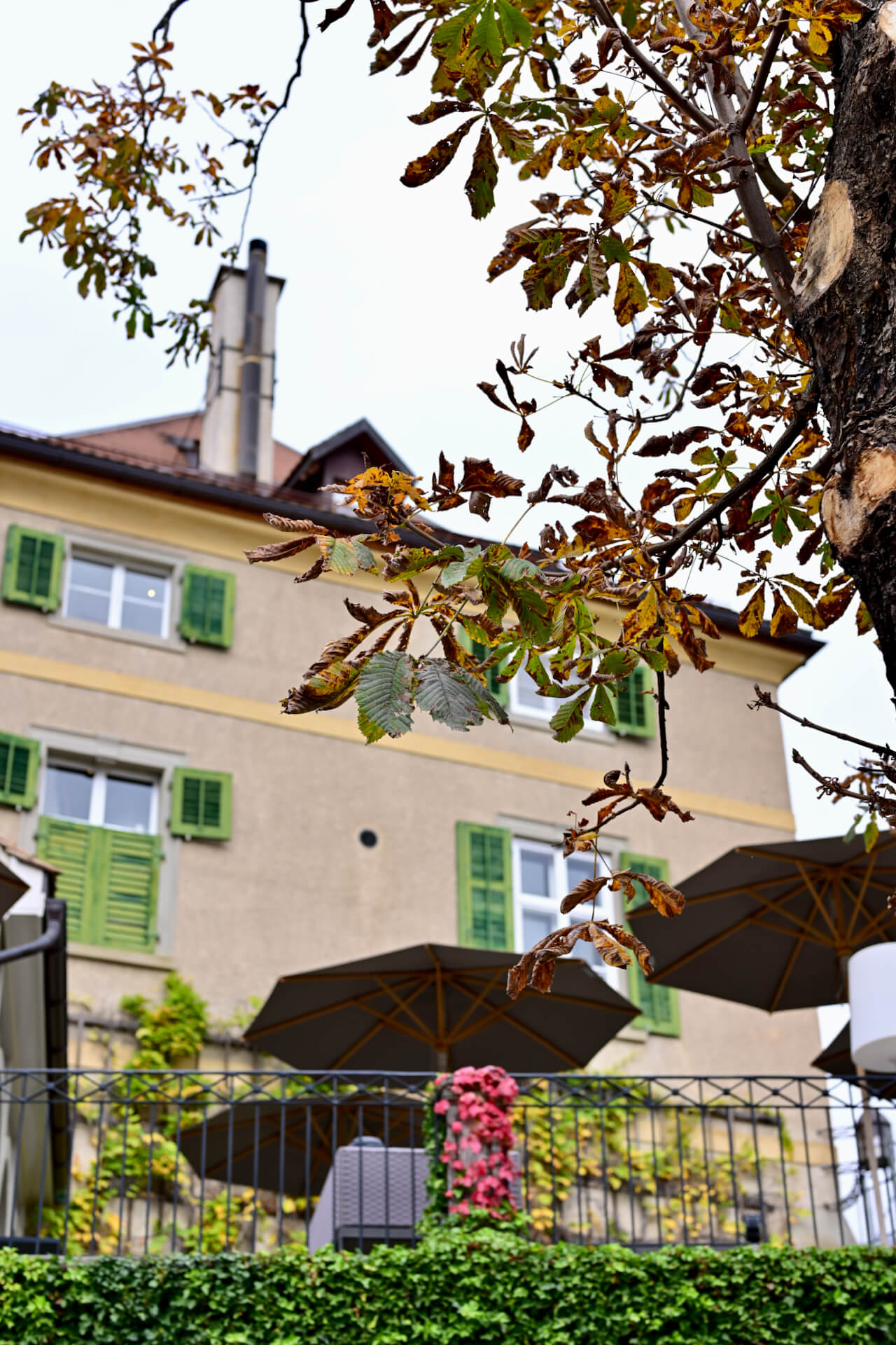 Revving up Tastebuds: The Ultimate Audi Culinary Drive with Star Chef Andreas Caminada