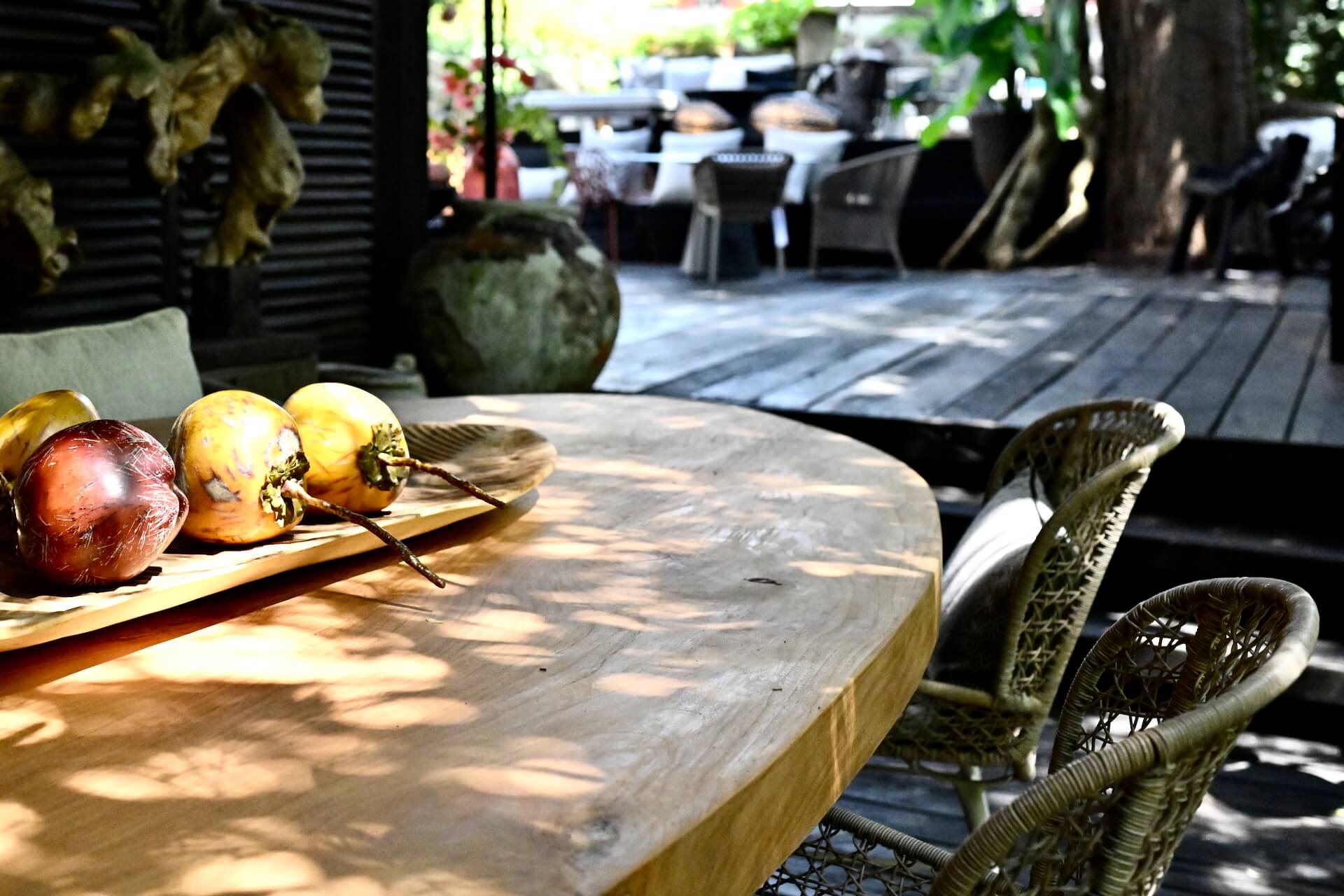 Summer Outdoor Essentials Livingdreams